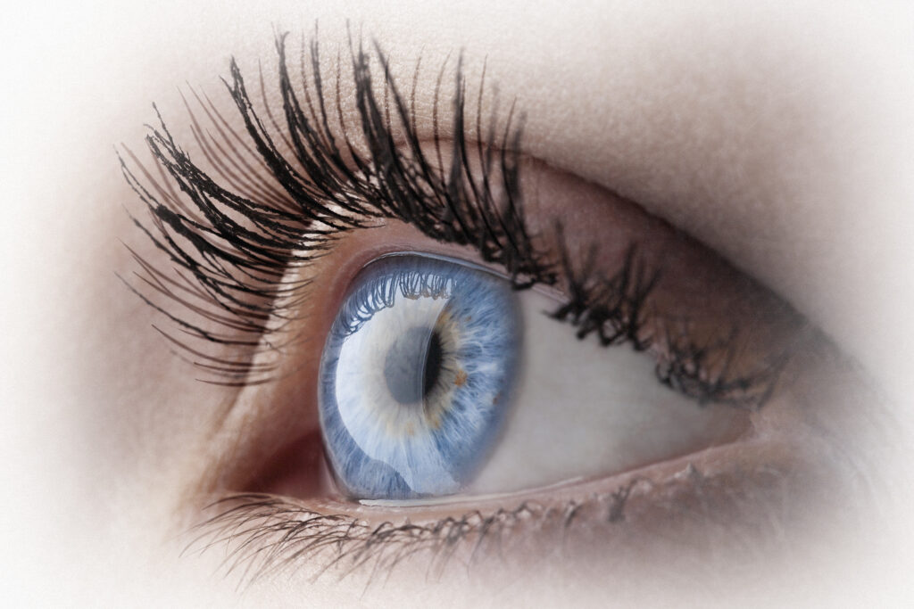 Close up of Human Eye - Progressive Eye Care, South Jordan UT